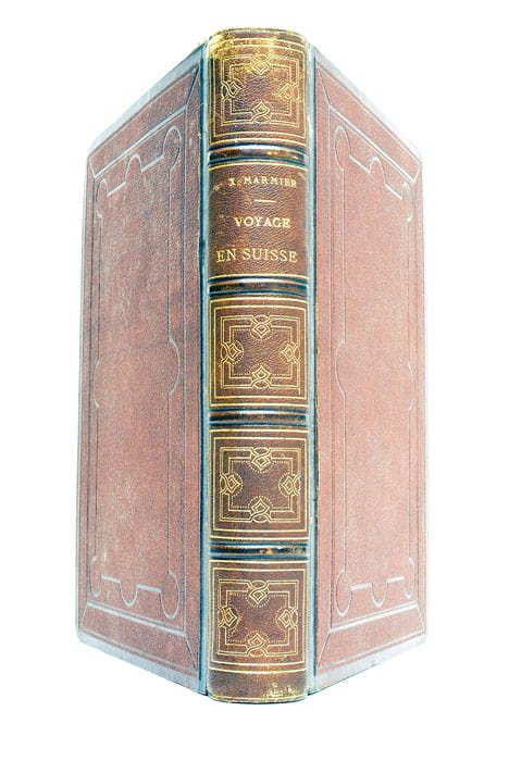 Voyage en Suisse. Illustrations de MM. Rouargue Frères.