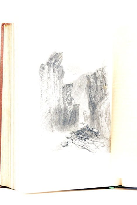 Voyage en Suisse. Illustrations de MM. Rouargue Frères.