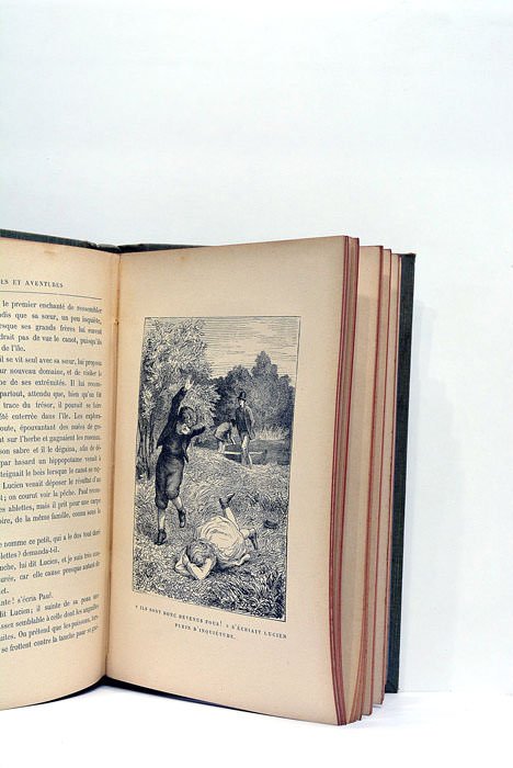 Voyages et aventures de deux enfants dans un parc. Dessins …