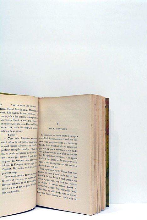 Yamilé sous les cèdres.