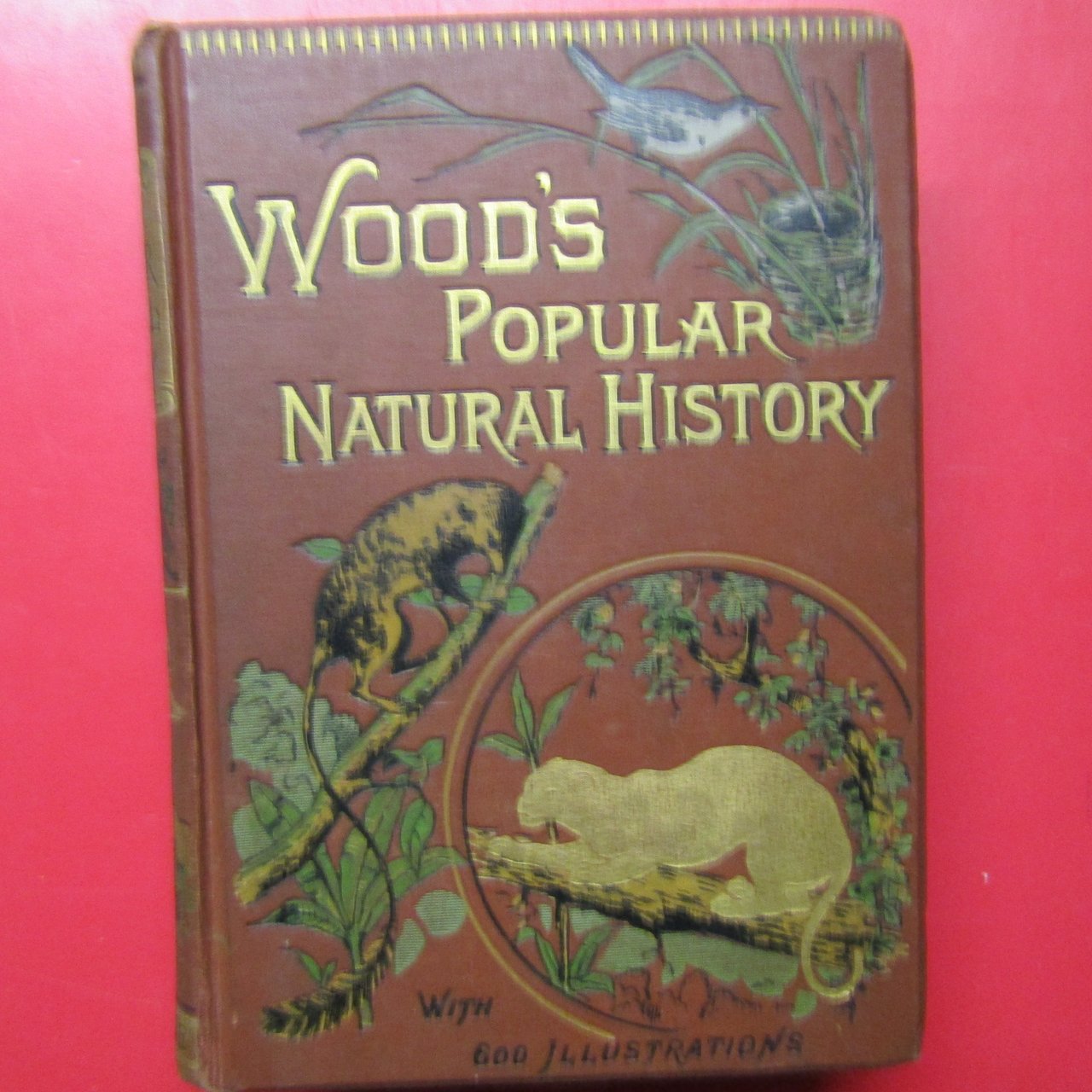 The popular Natural History