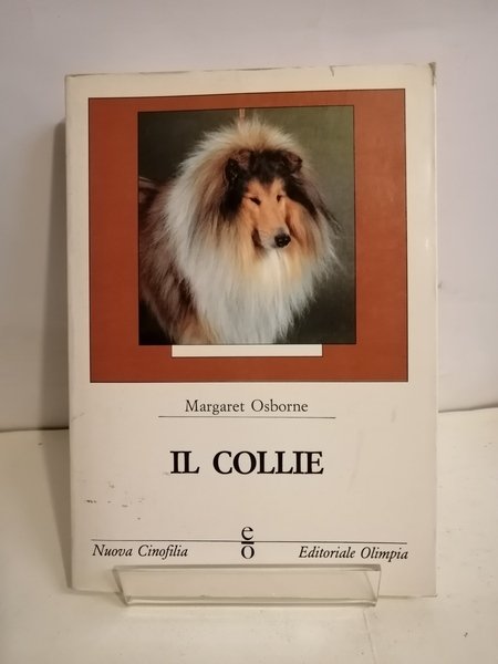 IL COLLIE