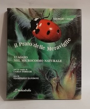 IL PRATO DELLE MERAVIGLIE. | Immagine principale