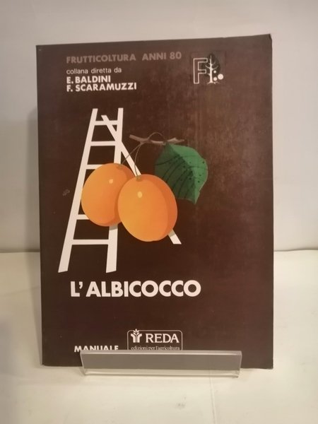 L'ALBICOCCO