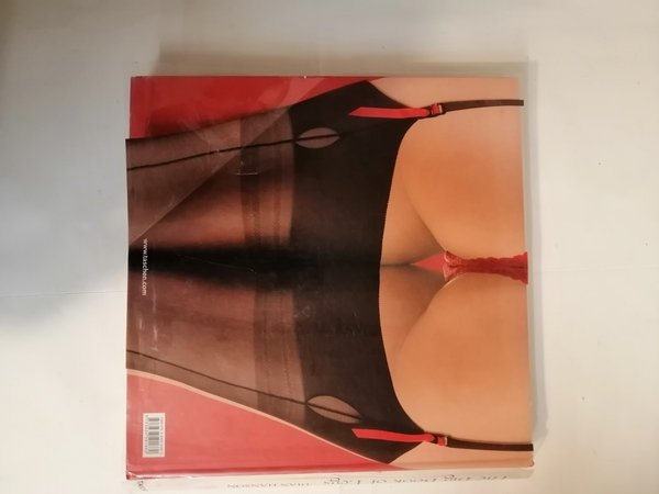 THE BIG BOOK OF LEGS.