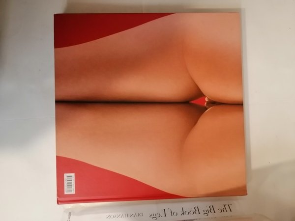 THE BIG BOOK OF LEGS.