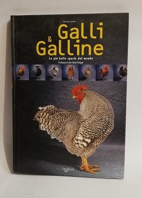 GALLI E GALLINE.