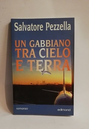 UN GABBIANO TRA CIELO E TERRA.