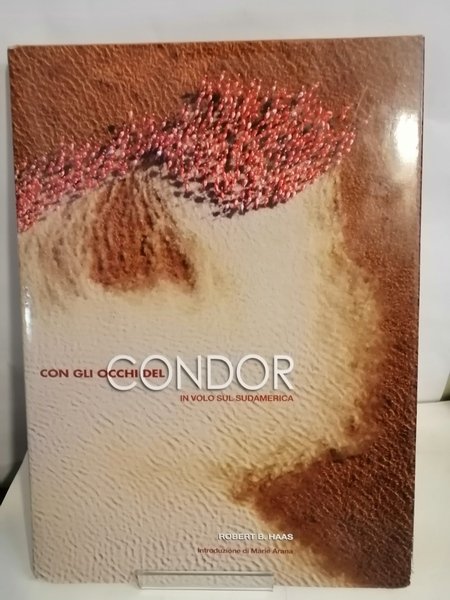 CON GLI OCCHI DEL CONDOR