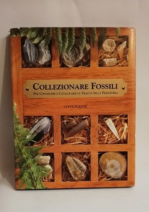 COLLEZIONARE FOSSILI.