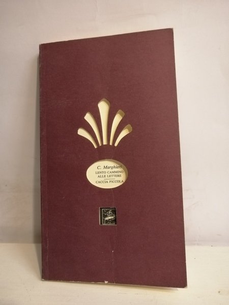 LENTO CAMMINO ALLE LETTERE-CACCIA PICCOLA. | Immagine principale