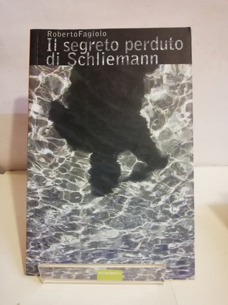IL SEGRETO PERDUTO DI SCHLIEMANN