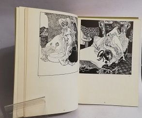 THE AMOROUS DRAWINGS OF THE MARQUIS VON BAYROS.