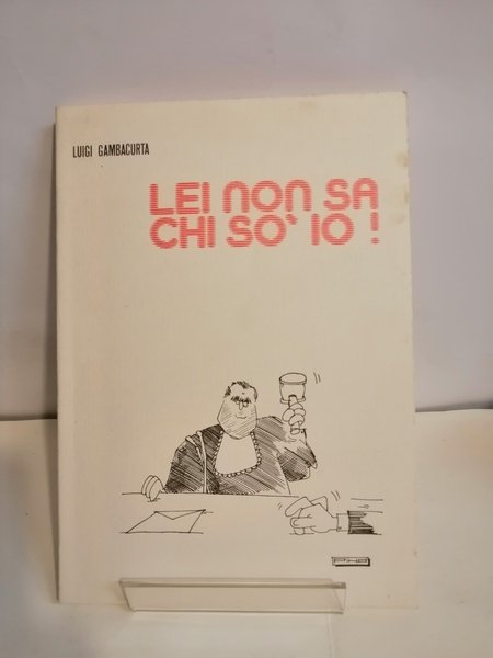 LEI NON SA CHI SO' IO!