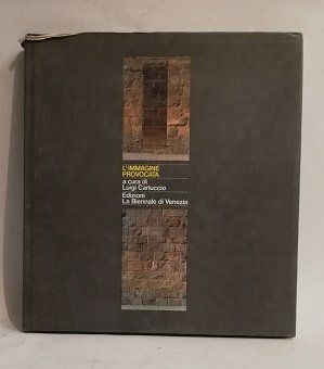 L'IMMAGINE PROVOCATA.