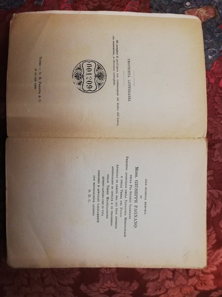 I MIEI VIAGGI NELLA TERRA DEL FUOCO.