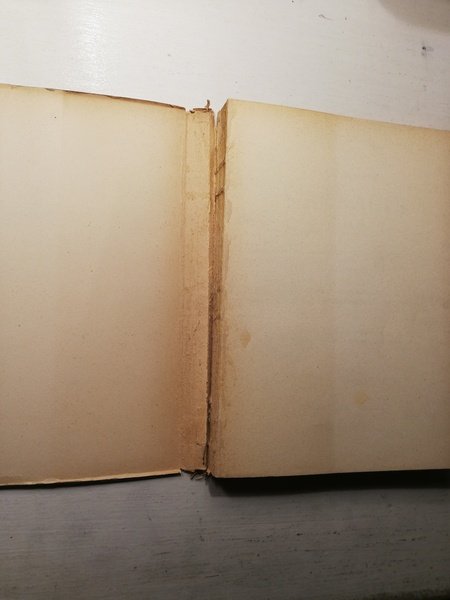 MOSTRA DEI CARRACCI.