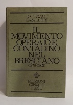 IL MOVIMENTO OPERAIO E CONTADINO NEL BRESCIANO (1878-1903).