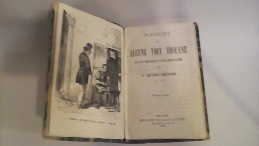 SAGGIO DI ALCUNE VOCI TOSCANE.