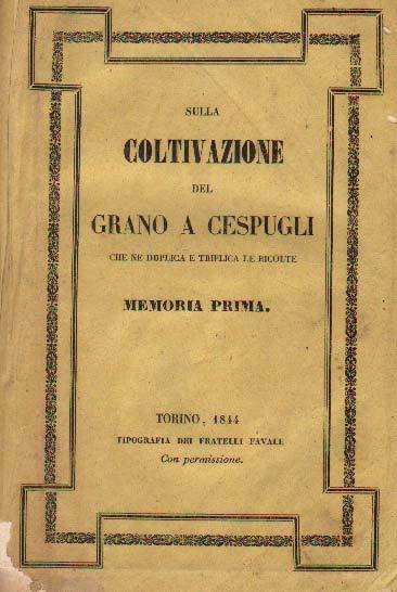 SULLA COLTIVAZIONE DEL GRANO A CESPUGLI. - Che ne duplica …
