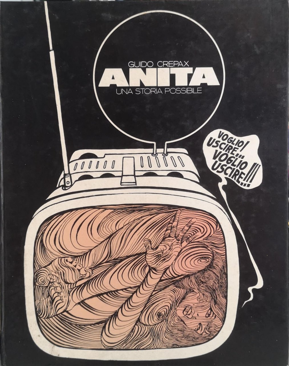 ANITA. UNA STORIA POSSIBILE.