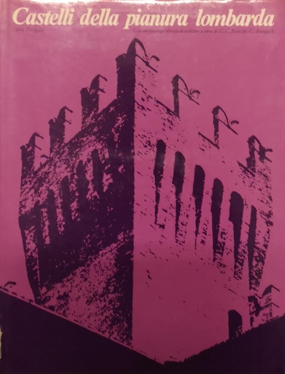 CASTELLI DELLA PIANURA LOMBARDA. | Immagine principale