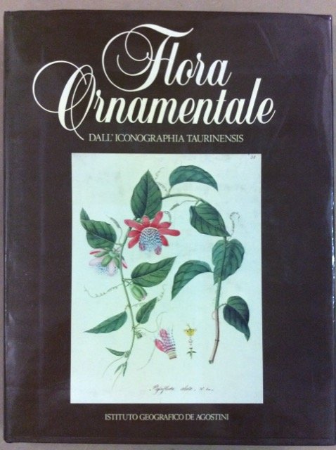 FLORA ORNAMENTALE. - Dall'iconographia taurinensis.