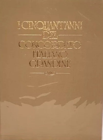 I CINQUANT'ANNI DEL CONCORDATO ITALIANO GRANDINE. | Immagine principale