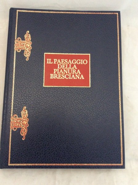 IL PAESAGGIO DELLA PIANURA BRESCIANA. - Fotografie di Basilio Rodella.