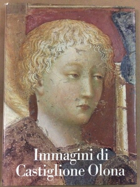 IMMAGINI DI CASTIGLIONE OLONA.