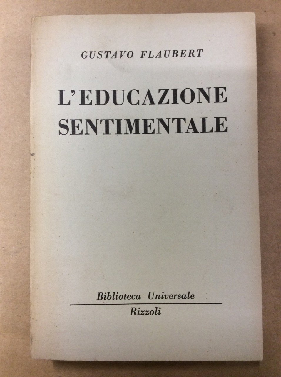 L'EDUCAZIONE SENTIMENTALE: STORIA DI UN GIOVANE.