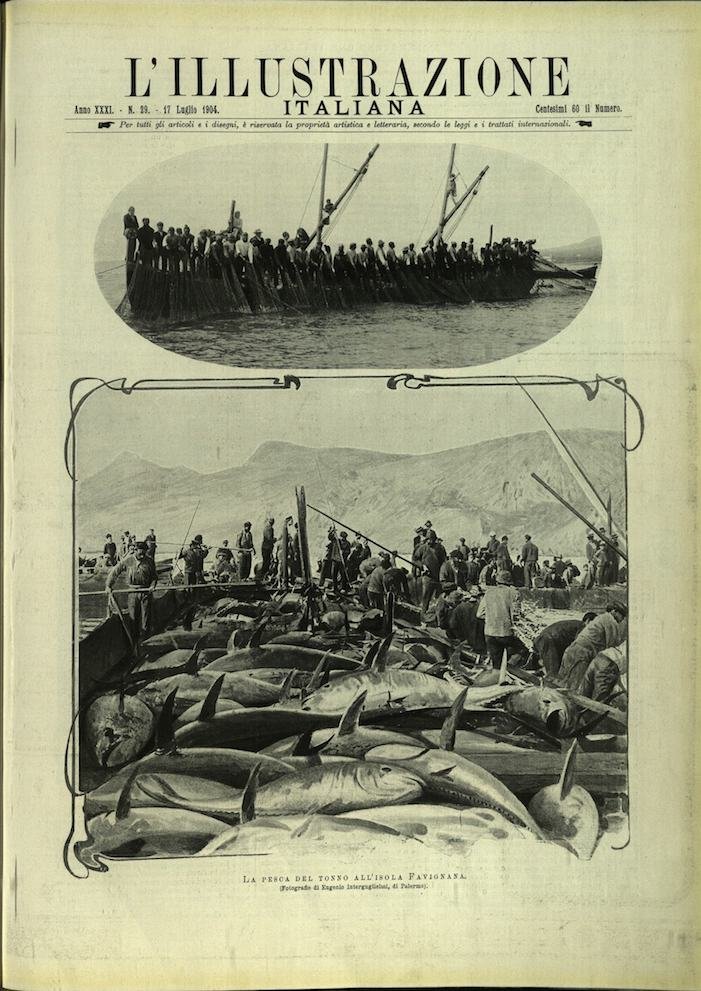 L'ILLUSTRAZIONE ITALIANA. 17 Luglio 1904. Anno XXXI - N. 29.