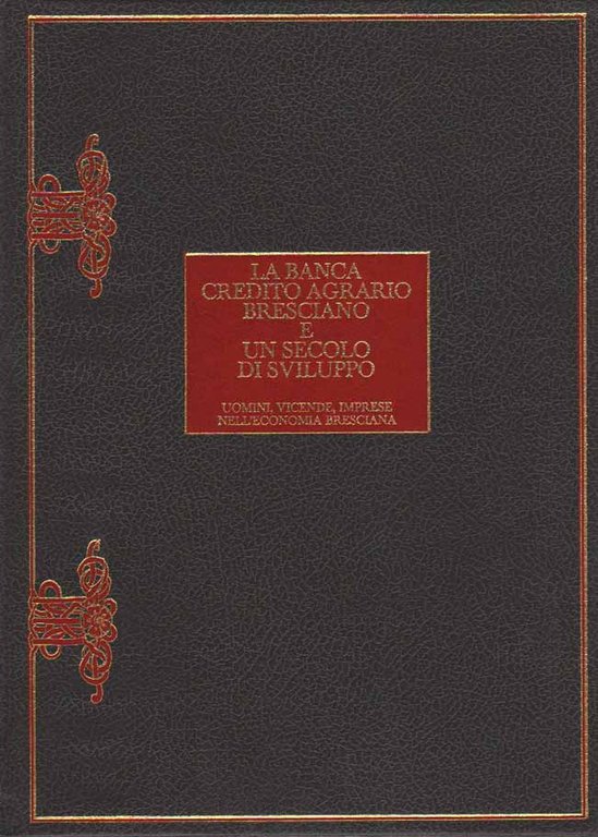 LA BANCA CREDITO AGRARIO BRESCIANO E UN SECOLO DI SVILUPPO. …