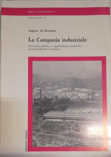 LA CAMPANIA INDUSTRIALE. INTERVENTO PUBBLICO E ORGANIZZAZIONE PRODUTTIVA TRA ET¿ …