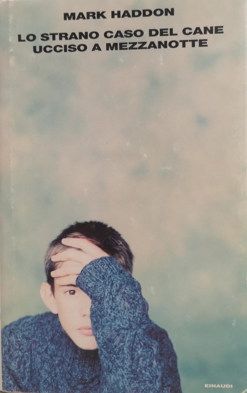 LO STRANO CASO DEL CANE UCCISO A MEZZANOTTE.