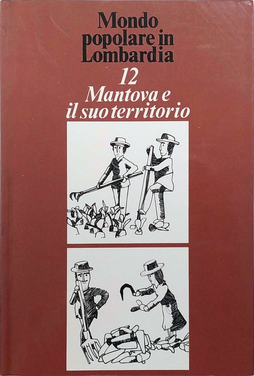 MANTOVA E IL SUO TERRITORIO. | Immagine principale