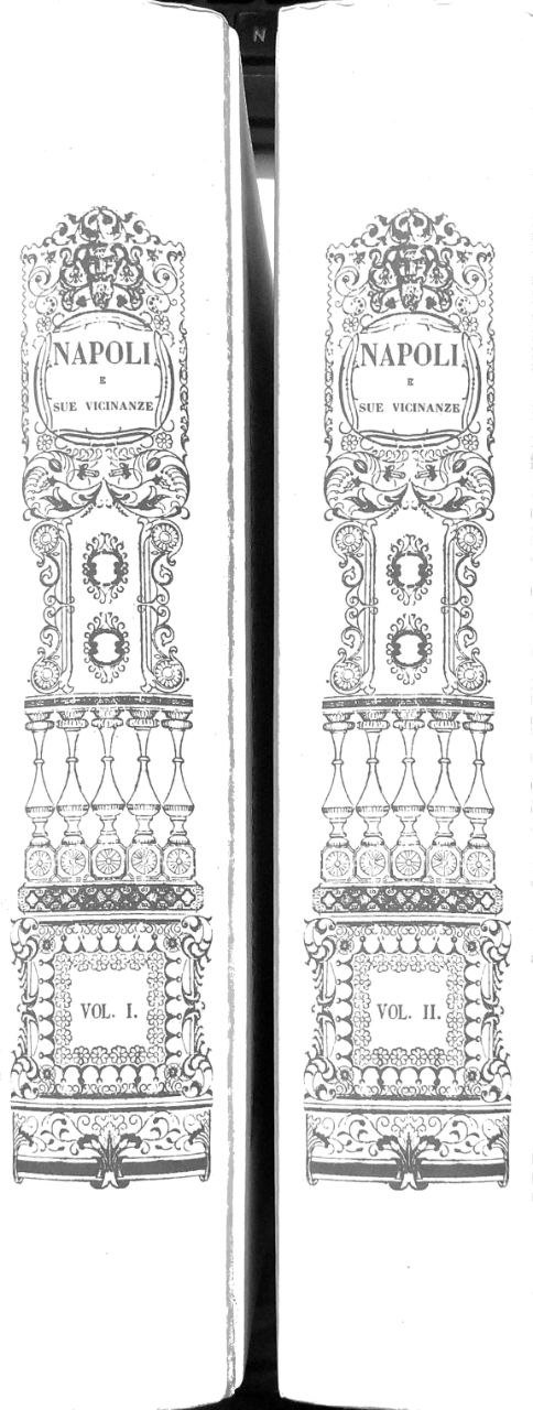 NAPOLI E SUE VICINANZE. 2 Volumi.