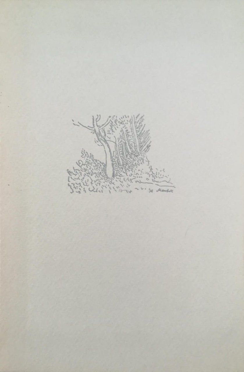 PASSO DIETRO PASSO. | Immagine principale