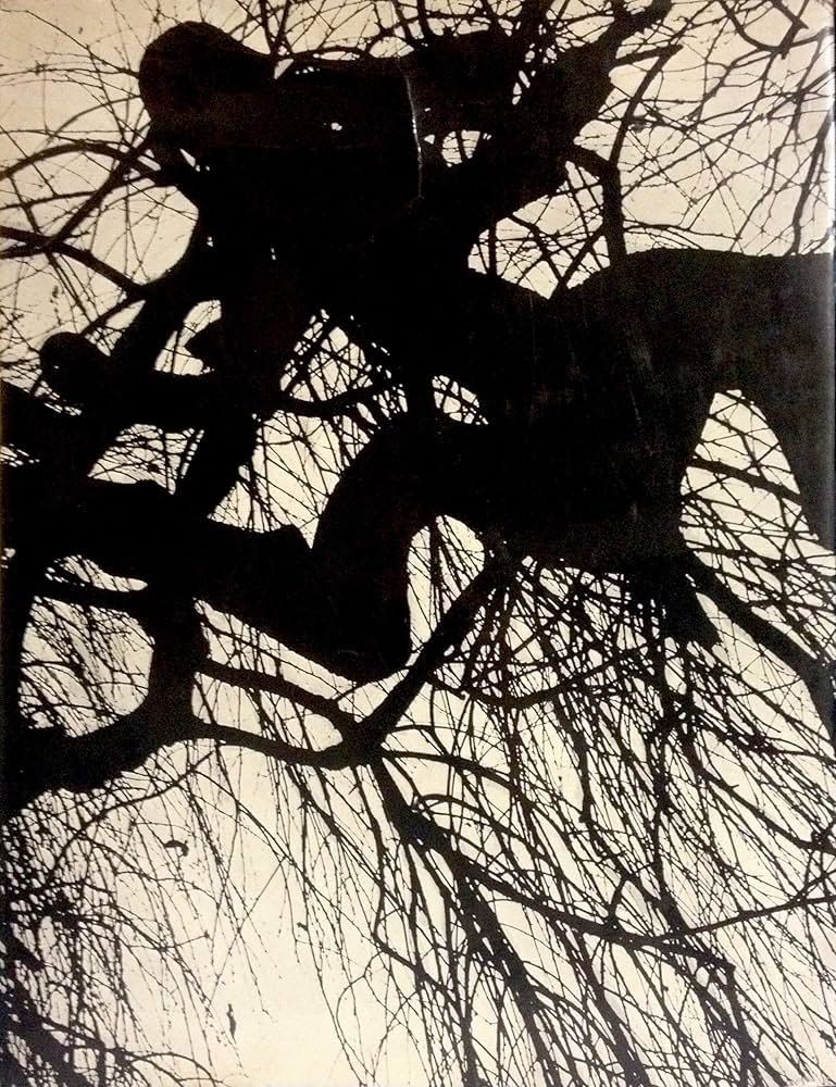 RIVA DI PO. - Con prefazione di Riccardo Bacchelli. | Immagine principale