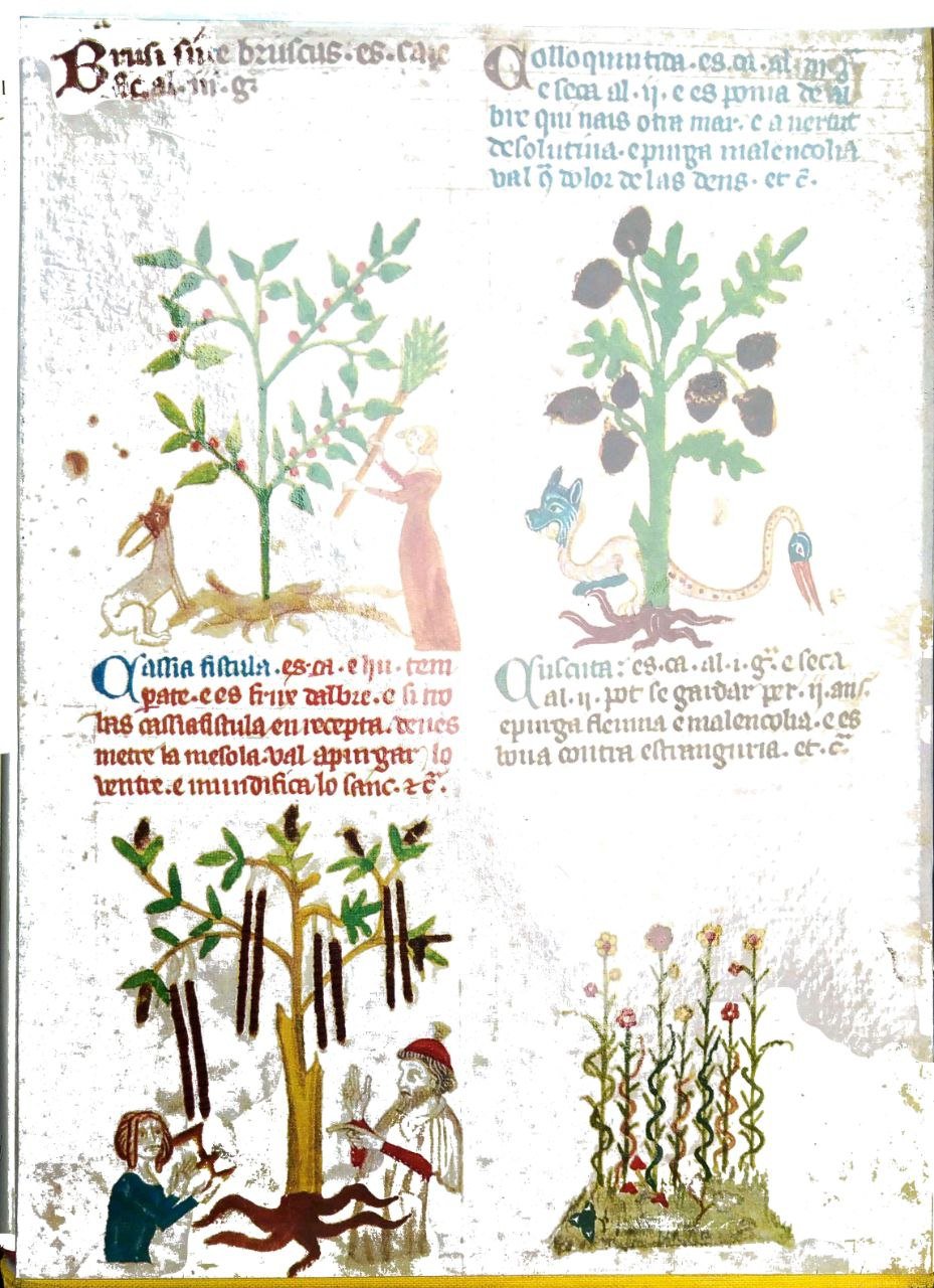 STORIA DELLA MEDICINA. 2 Volumi.