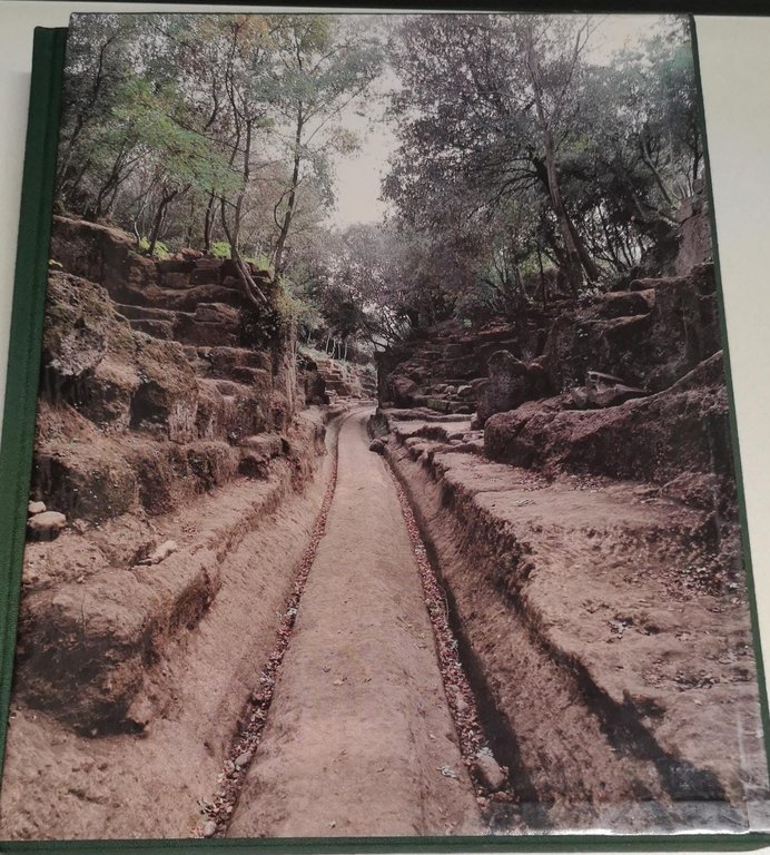 STRADE DEGLI ETRUSCHI : VIE E MEZZI DI COMUNICAZIONE NELL'ANTICA …