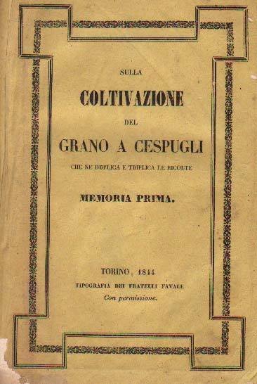 SULLA COLTIVAZIONE DEL GRANO A CESPUGLI. - Che ne duplica …