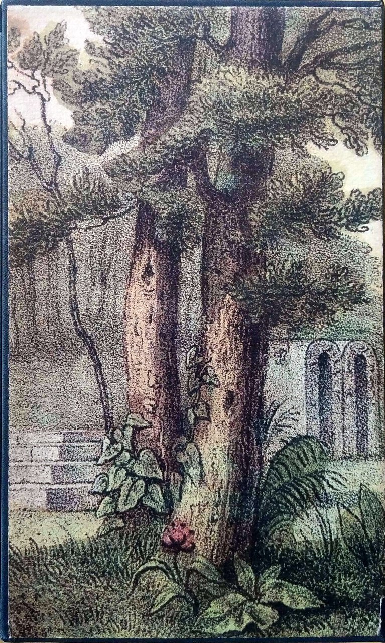 TAIPI. | Immagine principale