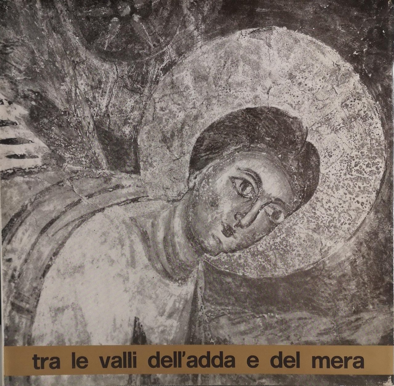 TRA LE VALLI DELL'ADDA E DEL MERA.