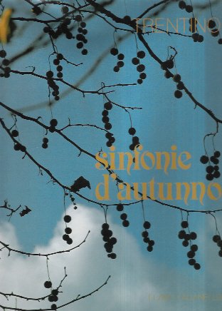 TRENTINO: SINFONIE D'AUTUNNO. - Progetto grafico ed organizzazione: Dario Scarpa.