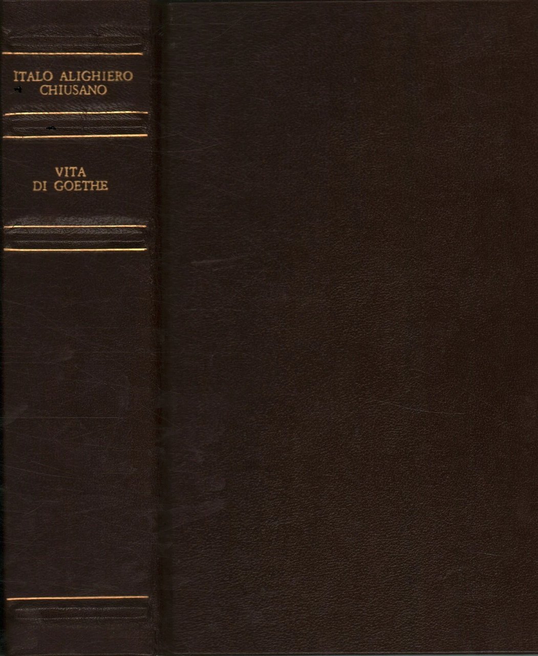 VITA DI GOETHE.