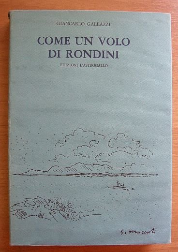 Come un volo di rondini.