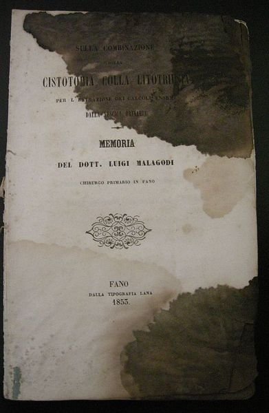 Sulla combinazione della cistotomia colla litrotipnia per l'estrazione dei calcoli …