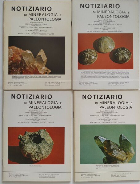 Notiziario di Mineralogia e Paleontologia Anno 1982 completo