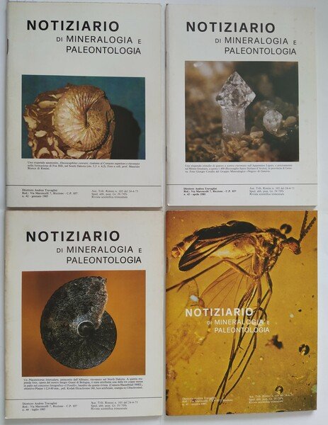 Notiziario di Mineralogia e Paleontologia Anno 1985 completo